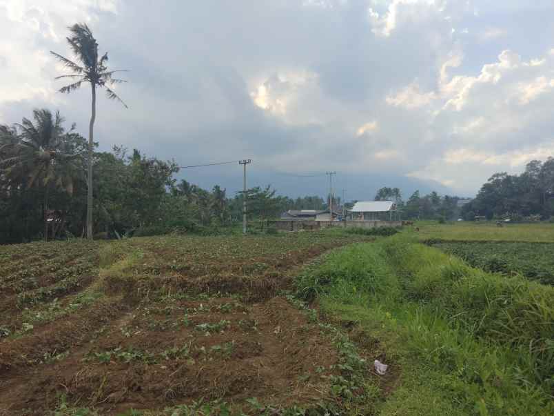 dijual tanah view gunung pinggir jalan desa