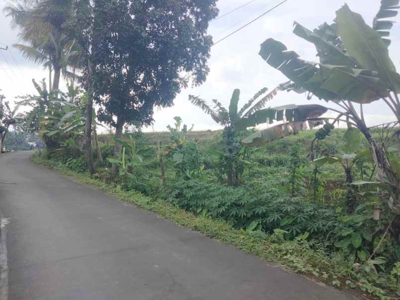 dijual tanah view gunung pinggir jalan desa