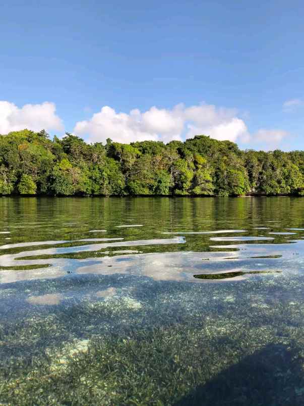 dijual tanah wakatobi sulawesi tenggara