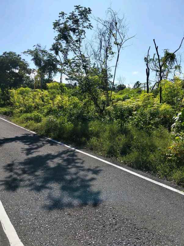 dijual tanah wakatobi sulawesi tenggara