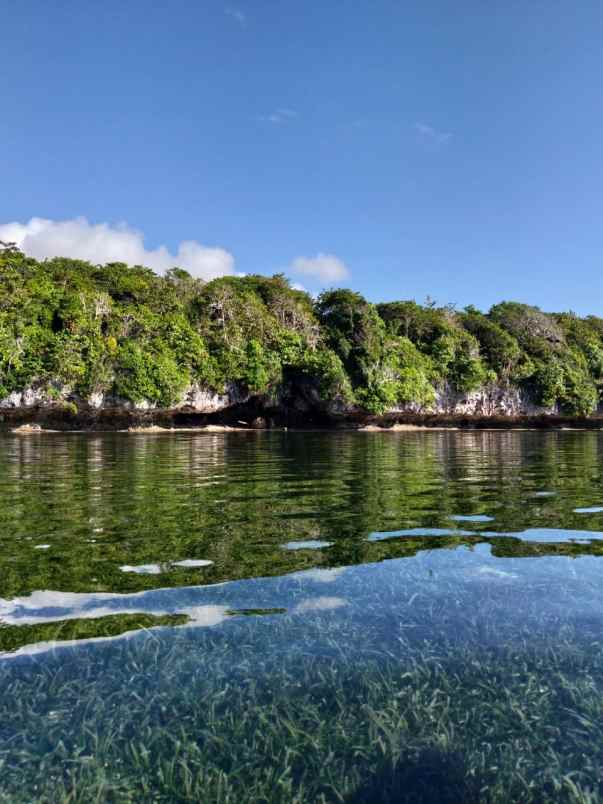 dijual tanah wakatobi sulawesi tenggara