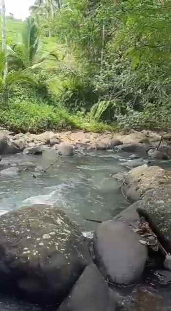 dijual tanah wanagiri kauh selemadeg