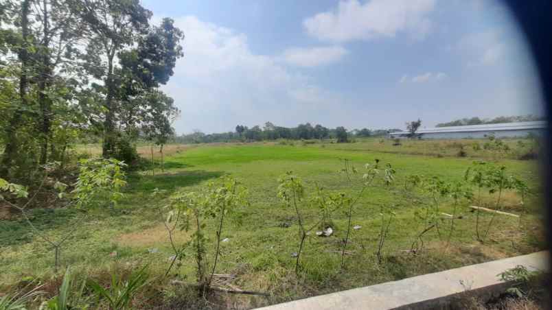 dijual tanah zona industri di klaten