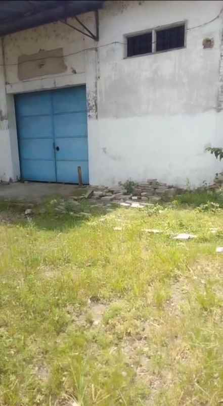 disewakan gudang di jember