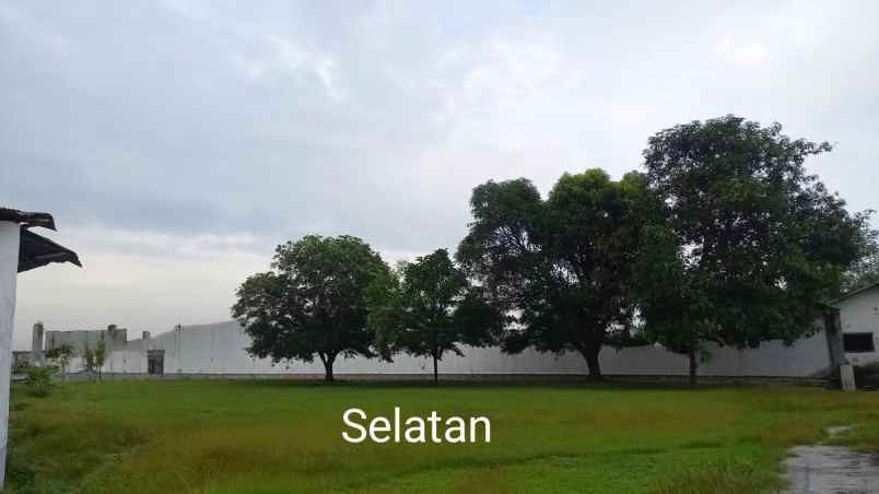 disewakan gudang di jember