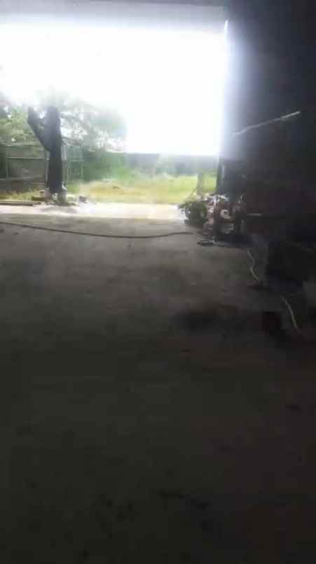 disewakan gudang di jombang