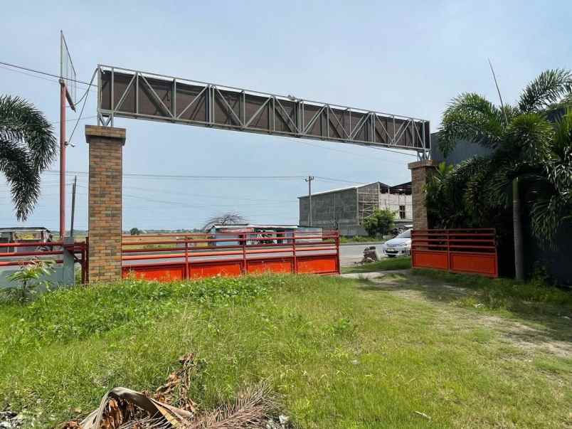 disewakan gudang di pemalang jawa tengah