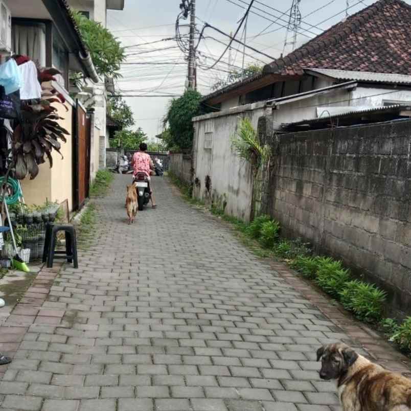 disewakan tanah padang tawang