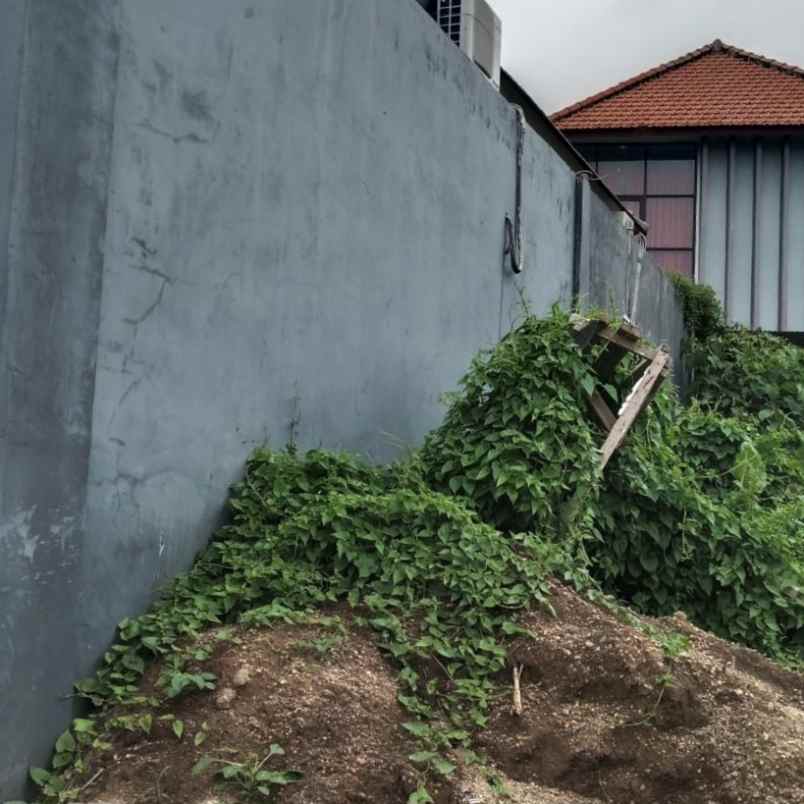 disewakan tanah padang tawang