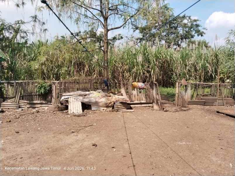 jual cepat lahan tanah di lawang dekat gudang cleo