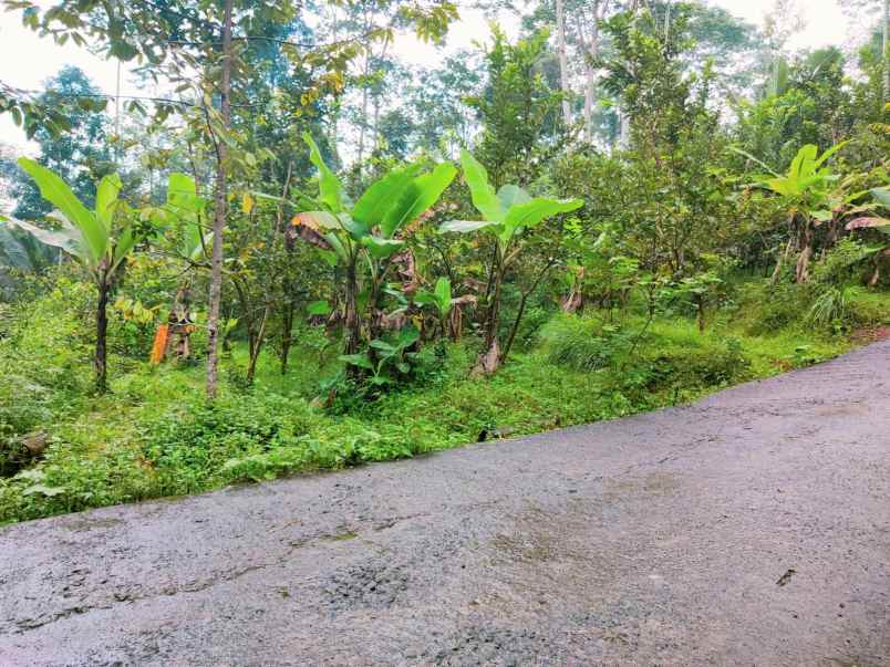 jual cepat tanah 1075m 150jt ngargoyoso karanganyar