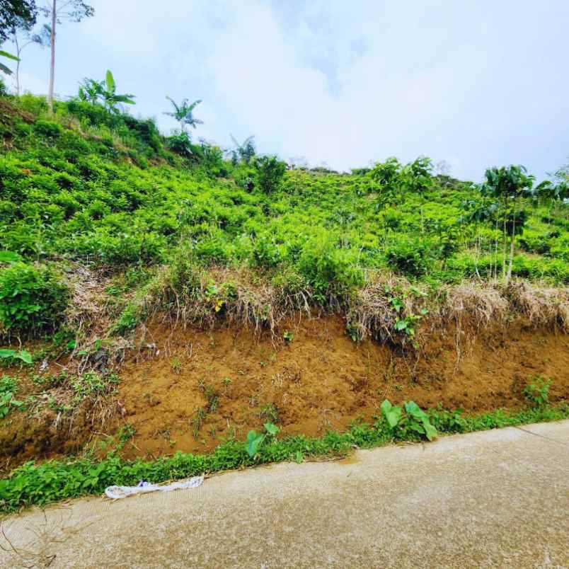 jual kavling tanah murah di ciwidey