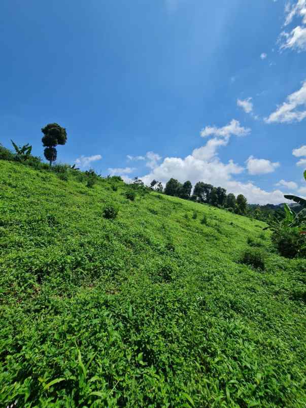 jual tanah bandung murah dekat stasiun whoosh