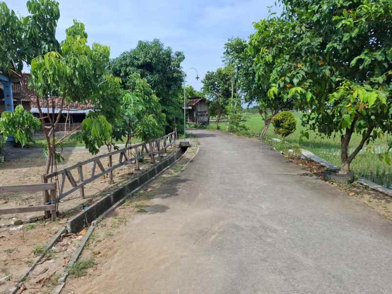 jual tanah murah sukoharjo