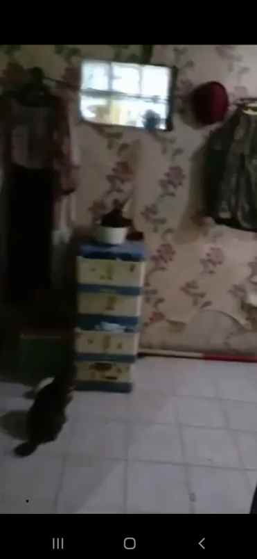 rumah ciloa cilame pinggir jalan