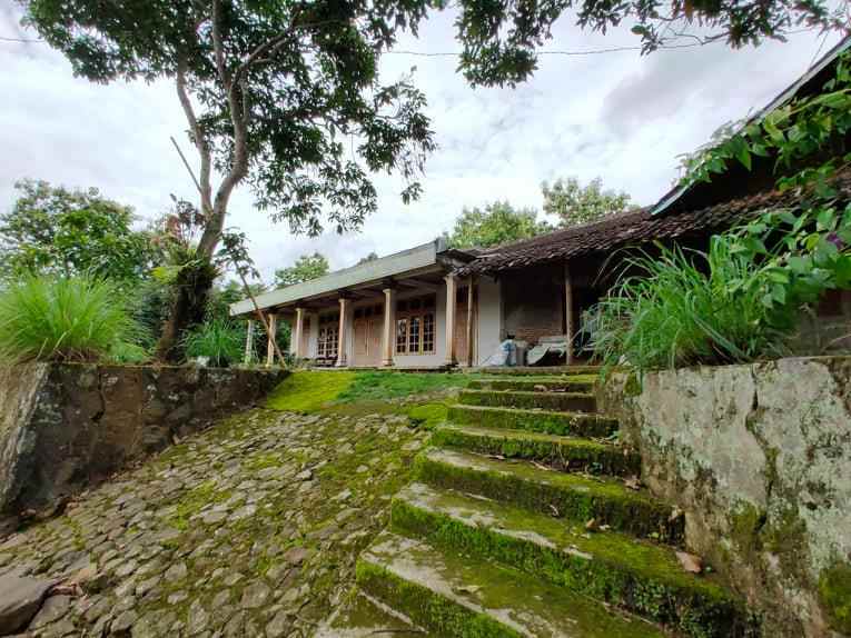 rumah desa wisata karangpandan