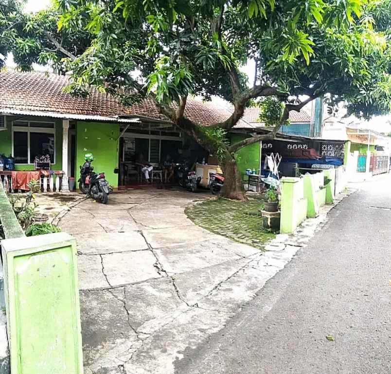 rumah jangli semarang atas