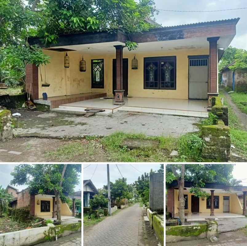 Rumah Kampung Janti Tulangan Sidoarjo