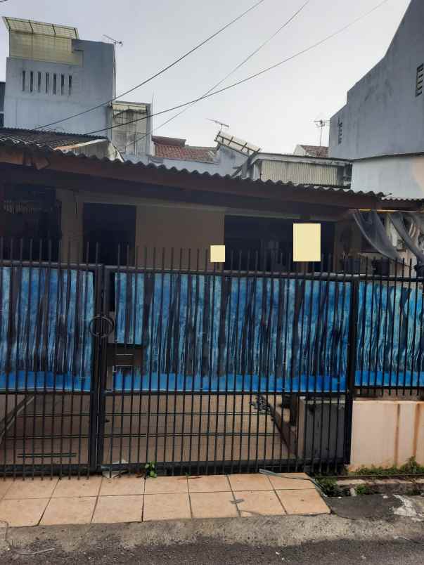 rumah kelapa molek kelapa gading