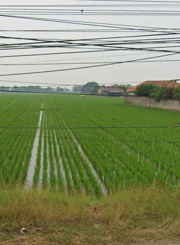 tamah strategis pinggir jalan parura pamanukan