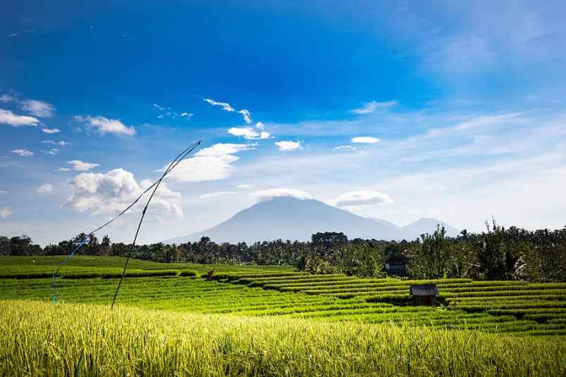 tanah 432m datar ngargoyoso view sawah
