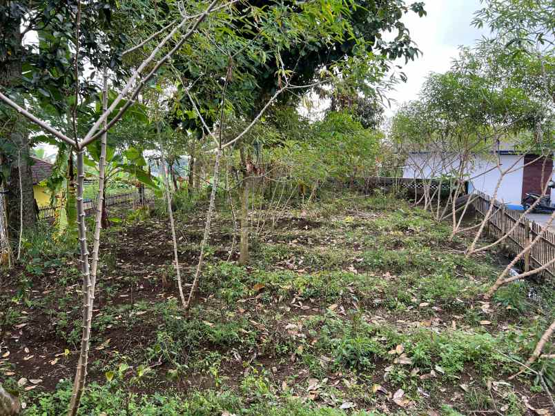 tanah 439m kawasan wisata kemuning cocok untuk villa