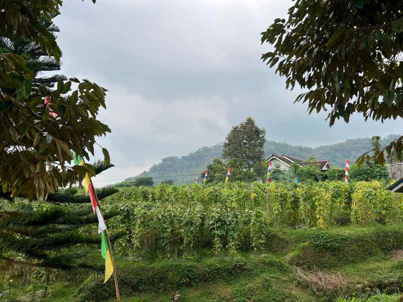 tanah 439m kawasan wisata kemuning cocok untuk villa