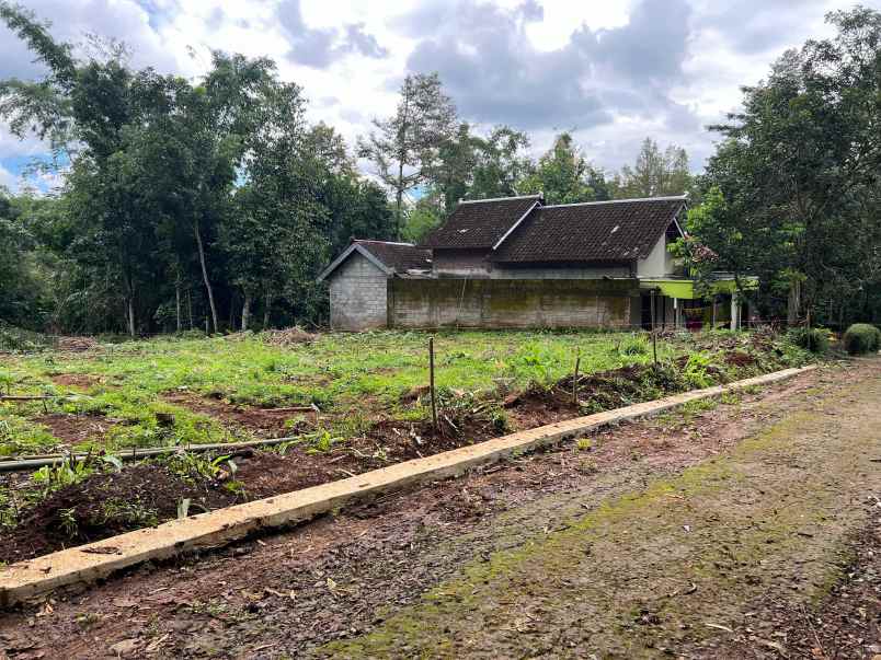 tanah 55 juta free balik nama bonus hadiah karanganyar