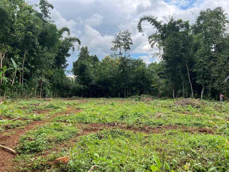 tanah 55 juta free balik nama bonus hadiah karanganyar