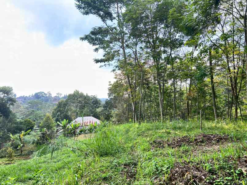 tanah 800m cocok untuk kebun buah ngargoyoso