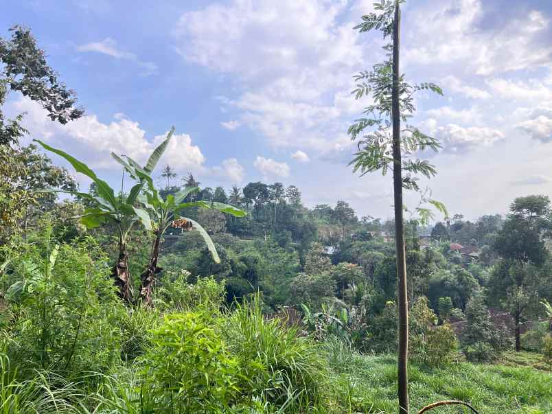 tanah 800m cocok untuk kebun buah ngargoyoso