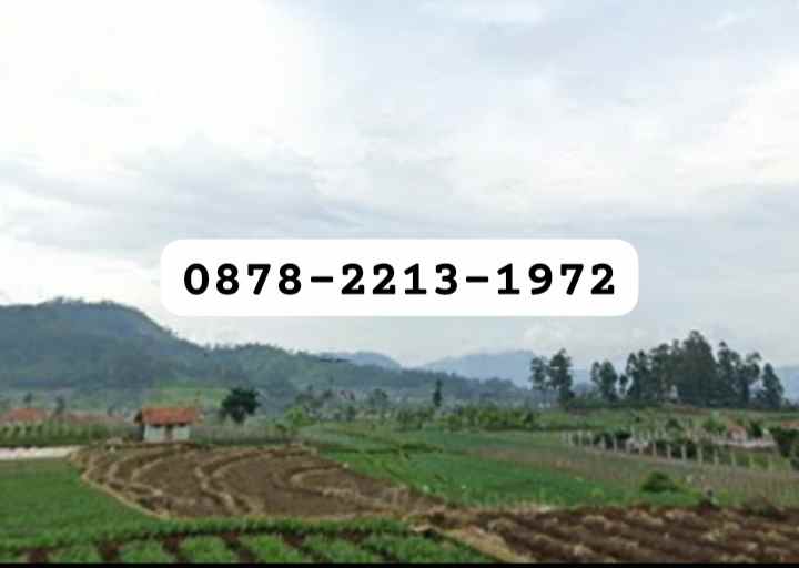 tanah bagus untuk villa di ciwidey bandung