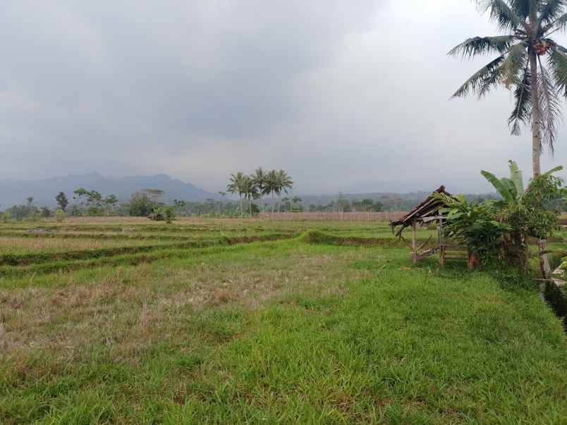 tanah daerah sekitar ciater subang jawa barat