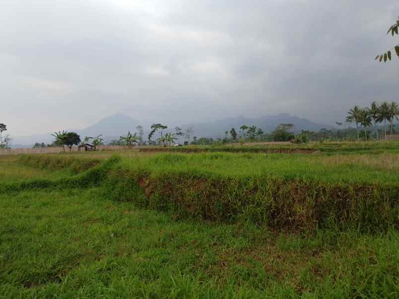 tanah daerah sekitar ciater subang jawa barat