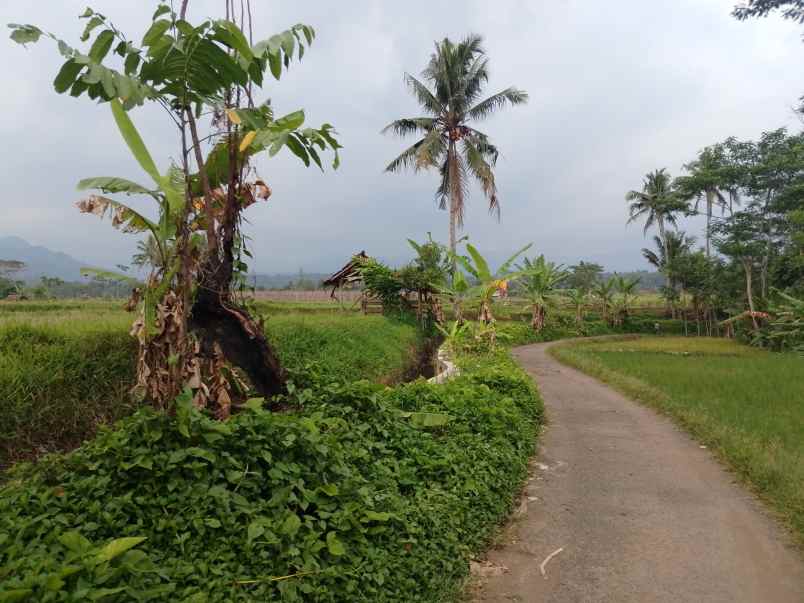 tanah daerah sekitar ciater subang jawa barat