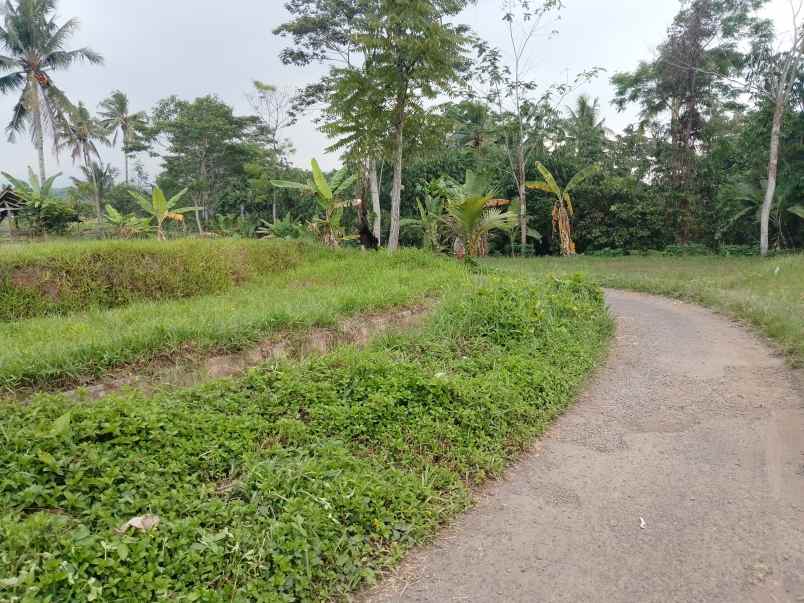 tanah daerah sekitar ciater subang jawa barat