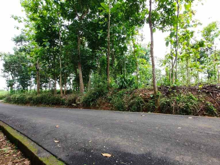 tanah dekat pasar karangpandan