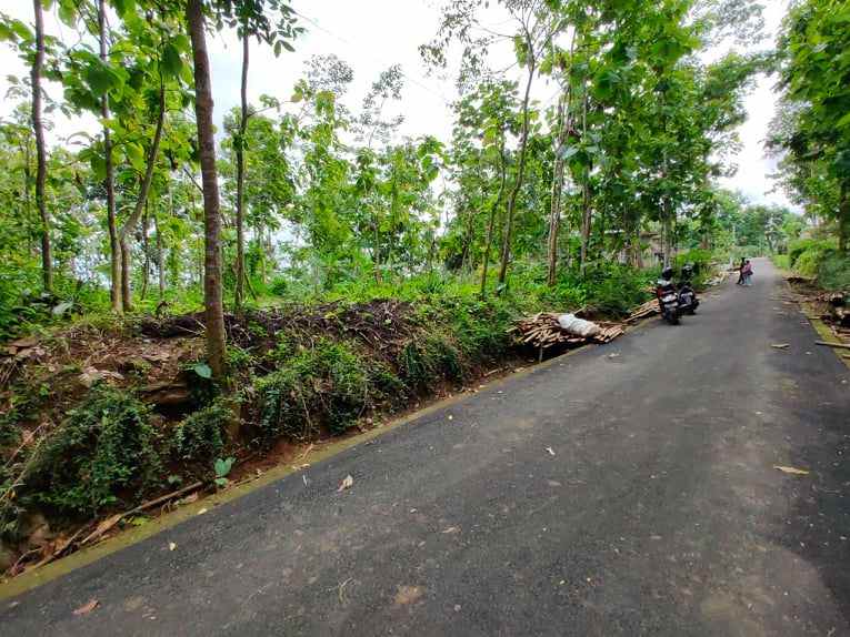 tanah dekat pasar karangpandan
