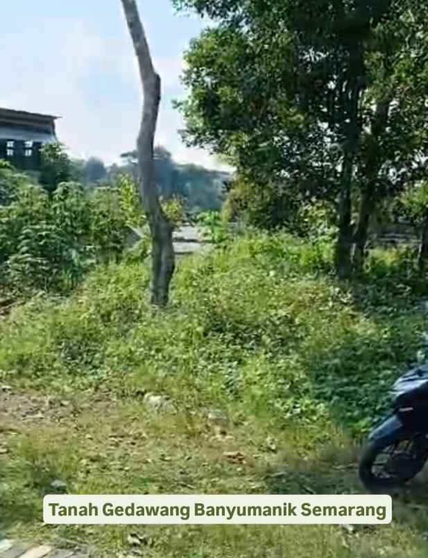 tanah gedawang banyumanik semarang