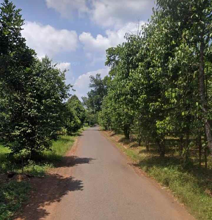 tanah insdustri dekat jalan raya purwadadi subang