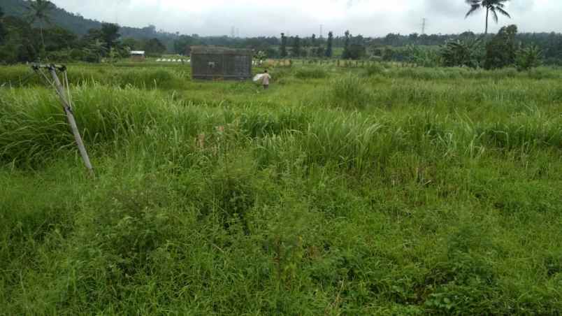 tanah jl raya cipanas cibeureum