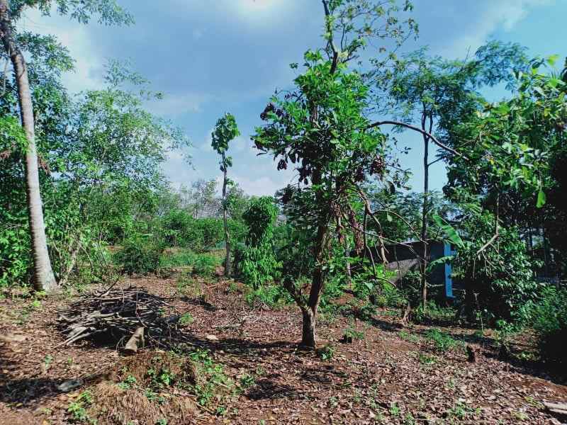 tanah kerjo karanganyar