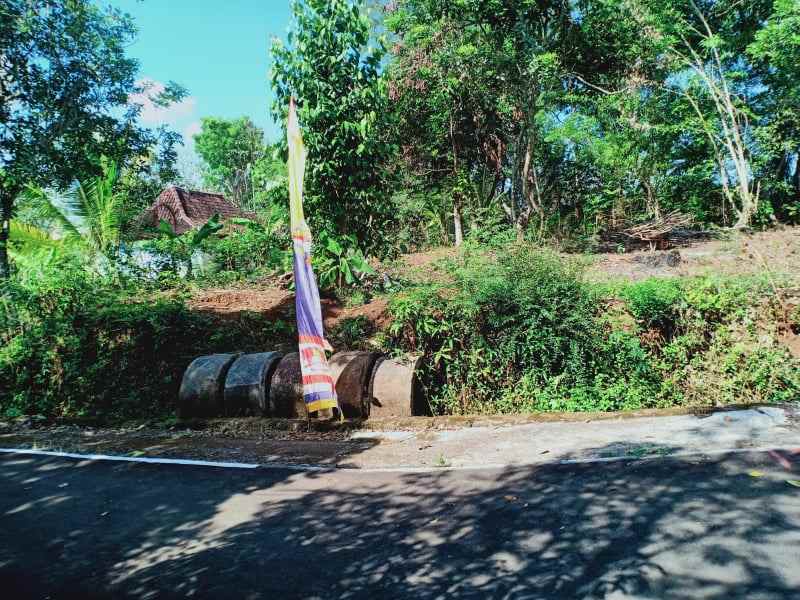 tanah kerjo karanganyar