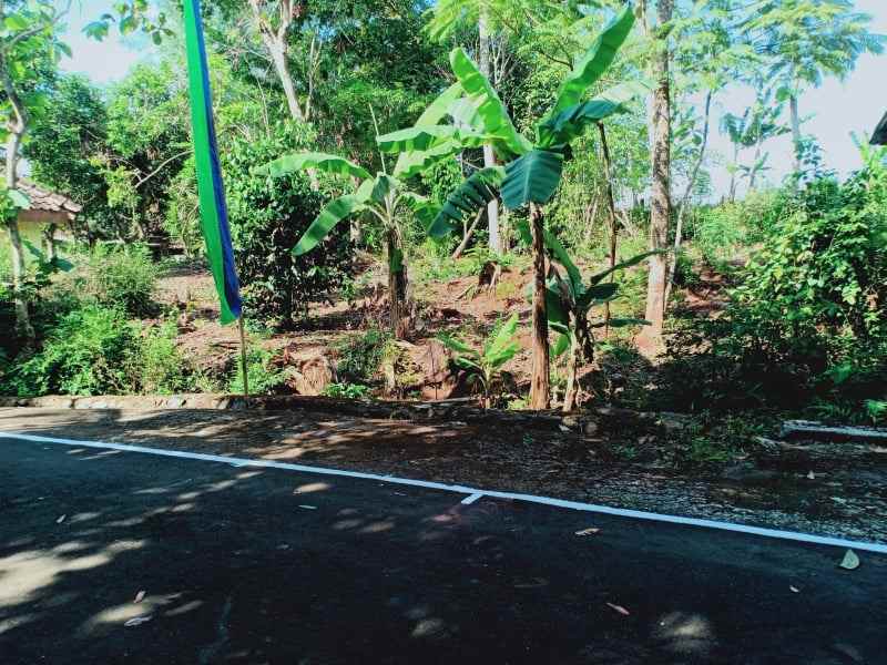 tanah kerjo karanganyar