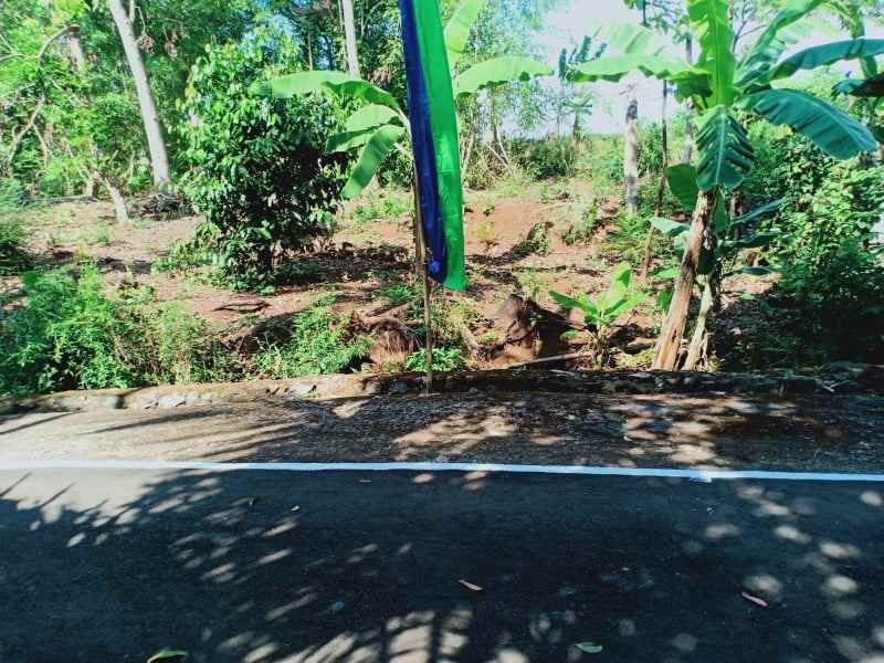 tanah kerjo karanganyar