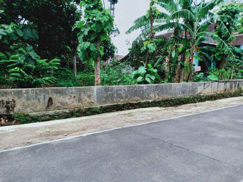 tanah kerjo karanganyar