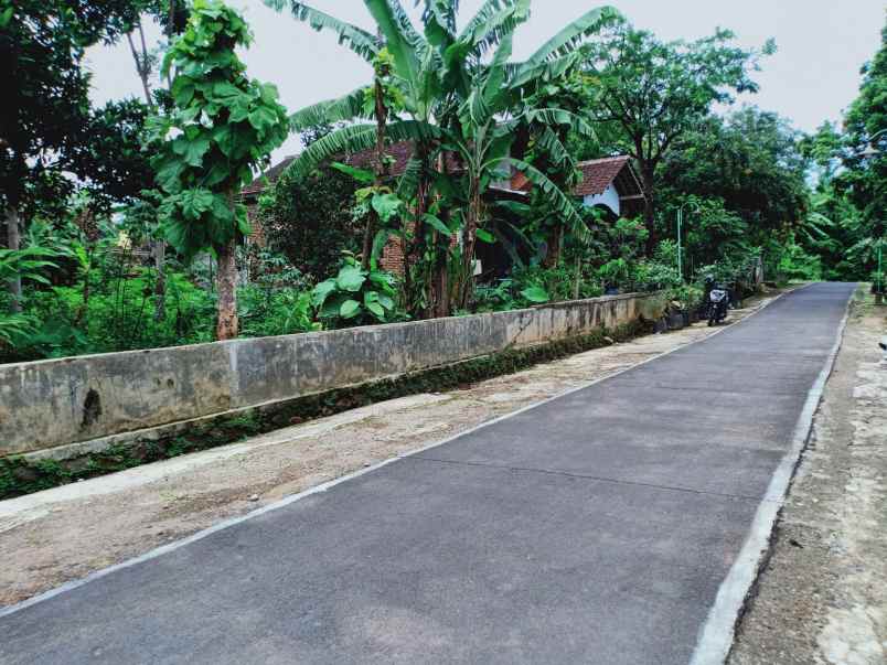 tanah kerjo karanganyar