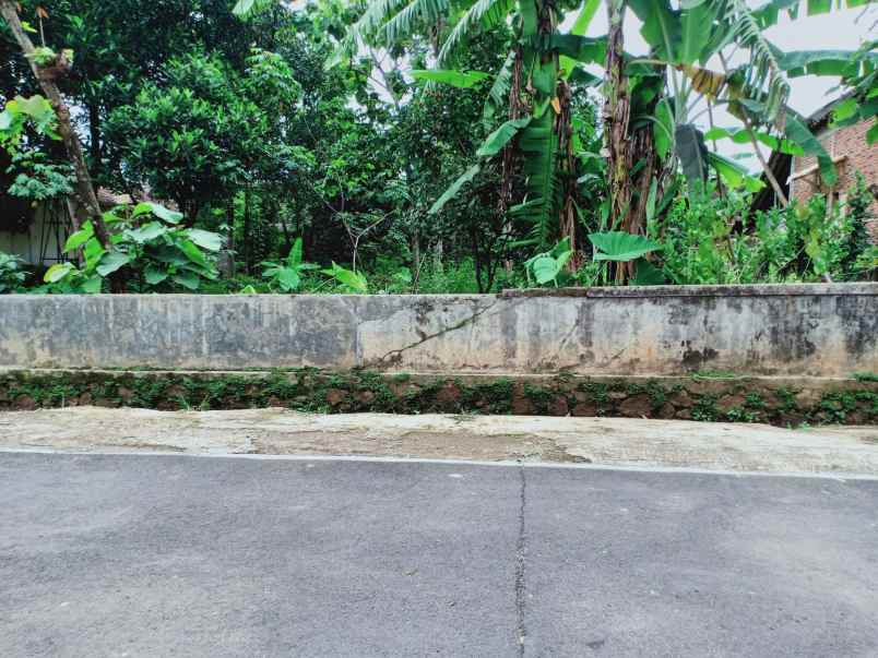 tanah kerjo karanganyar