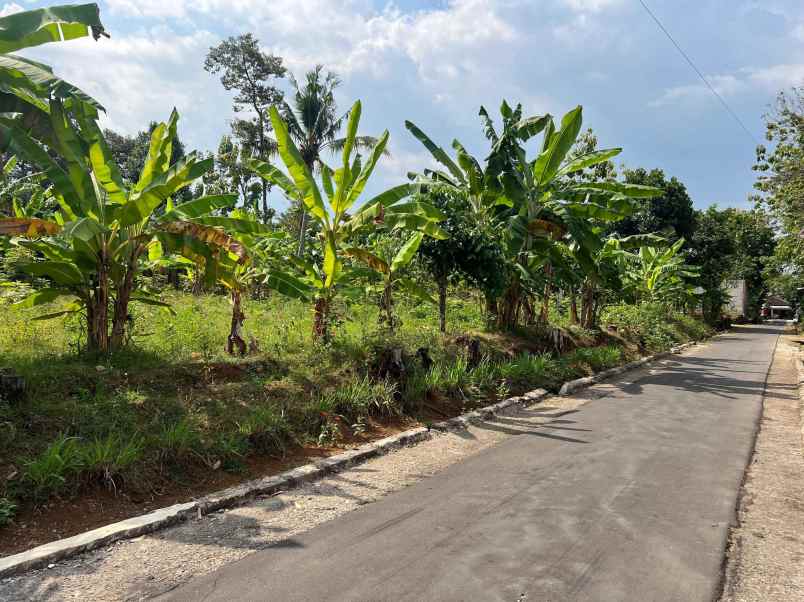 tanah murah 1302m 500jt kerjo karanganyar