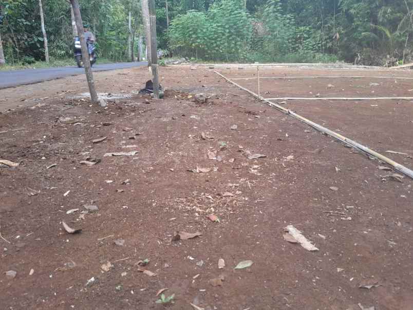 tanah murah siap bangun karangmoncol purbalingga